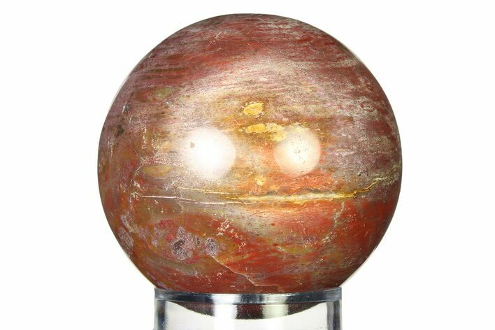 Colorful Petrified Wood (Araucaria) Sphere - Madagascar #317321